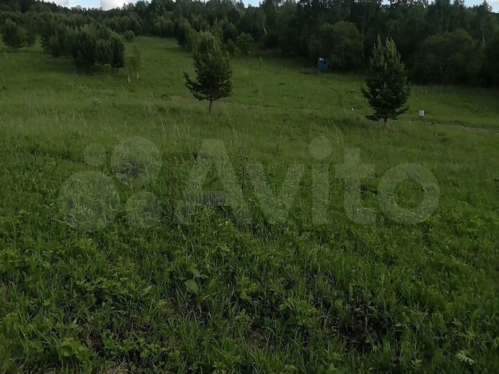 Участок 10 сот. (СНТ, ДНП)