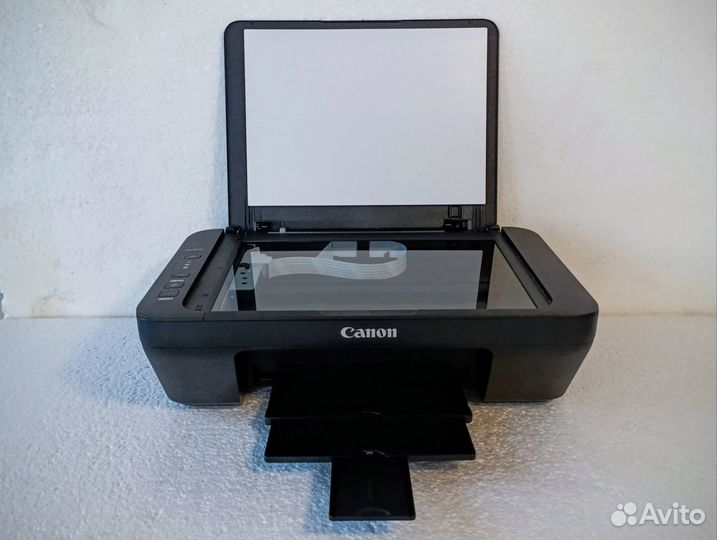 Принтер Canon Pixma MG 2545S