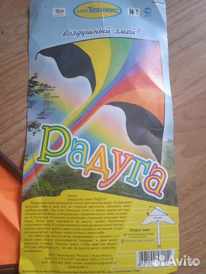 Воздушный змей