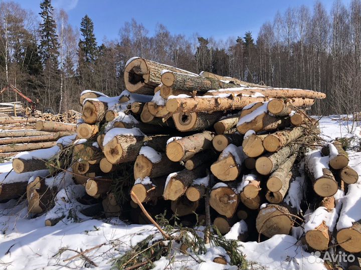 Лес кругляк - Техсырьё