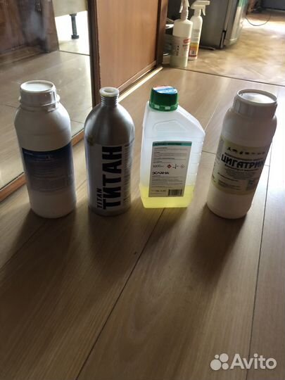 Уничтожение клопов, тараканов