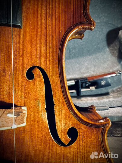 Аренда скрипки и смычка 1/2