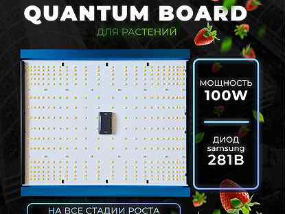 Светильник Quantum Board Samsung 281b 100W Фито