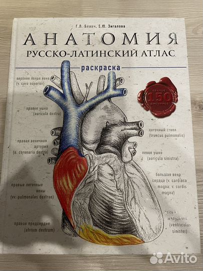 Атлас по анатомии