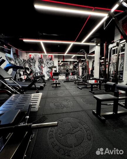 Клубная карта фитнес 6 месяцев