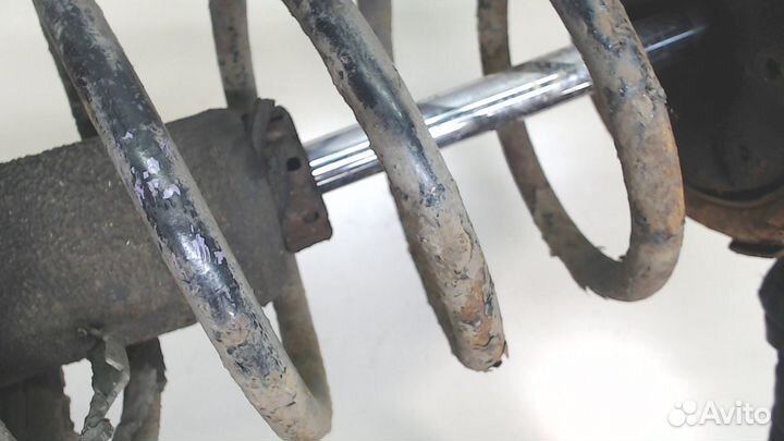 Амортизатор подвески Nissan Qashqai, 2011