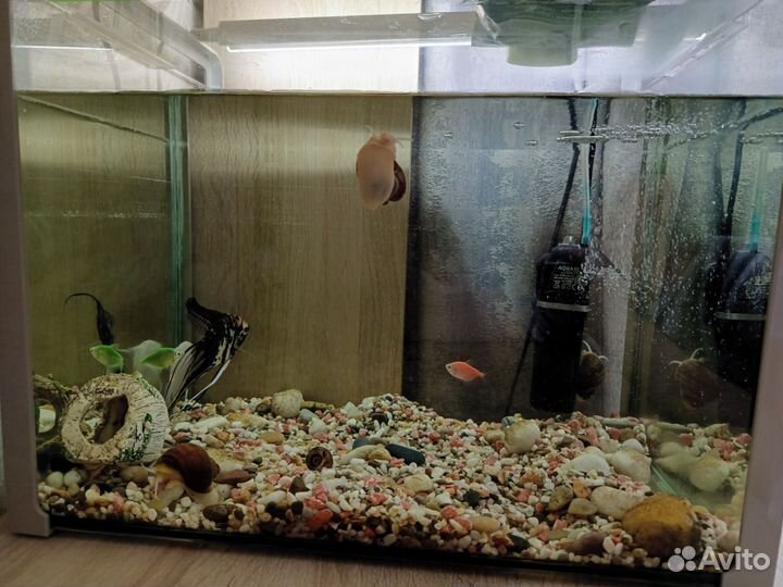 Аквариум
