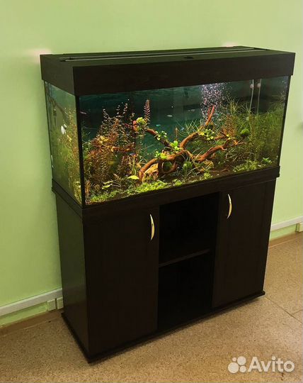 Аквариум