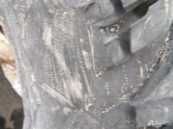 Ободрыши для сокол