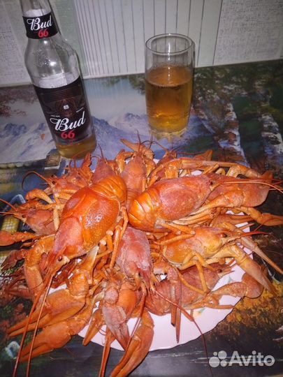 Живые раки