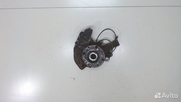 Ступица (кулак, цапфа) Fiat Doblo, 2009