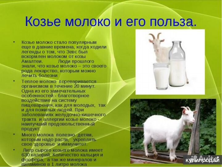 Молоко Козье