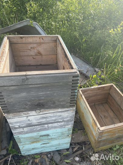 Ульи для пчел