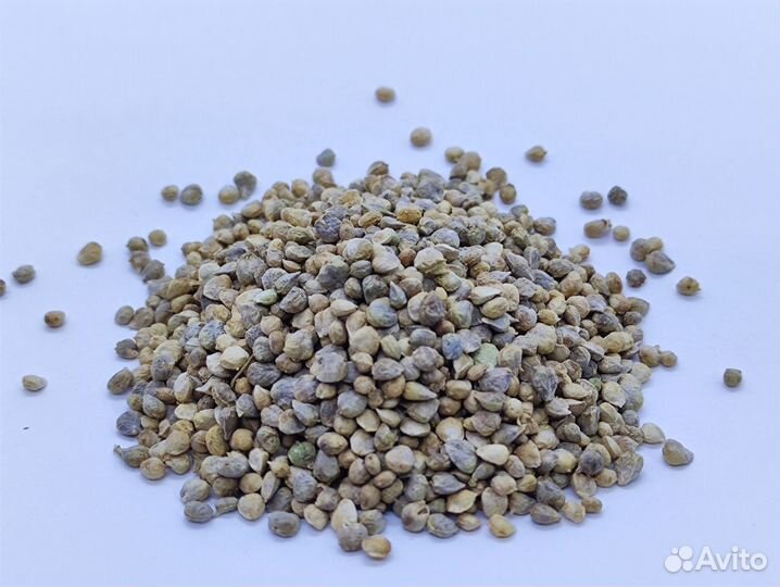 Семена для микрозелени