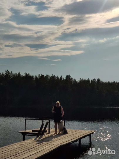 Кинолог с выездом на дом