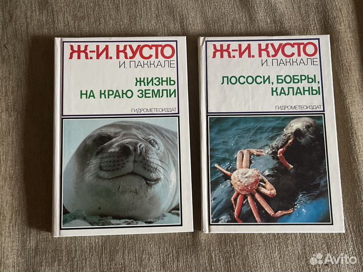 Пауло коэльо владимир мегре ричард бах раджниш ошо