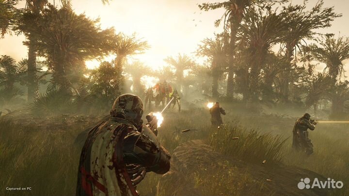 Helldivers 2 (Steam)