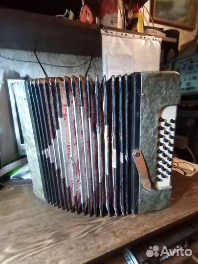 Гармонь ганинская