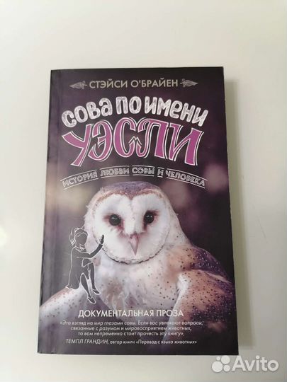 Сова по имени Уэсли