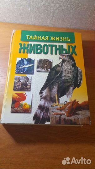 Детская энциклопедия: Тайная жизнь животных