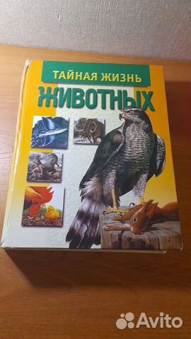 Детская энциклопедия: Тайная жизнь животных