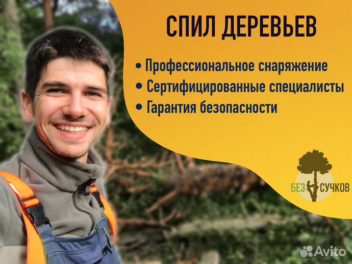 Удаление, обрезка, кронирование деревьев