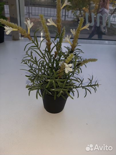 Искусственные цветы из IKEA