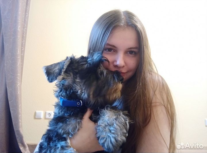 Кинолог/Дрессировка собак/Екатеринбург