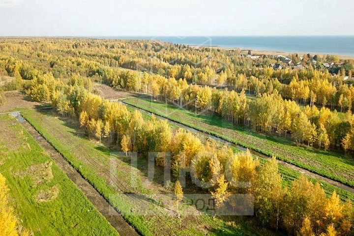 Участок 8 сот. (СНТ, ДНП)