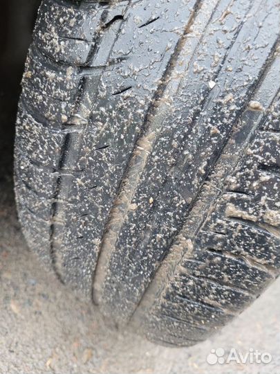 Nokian Tyres Nordman SX 205/55 R16