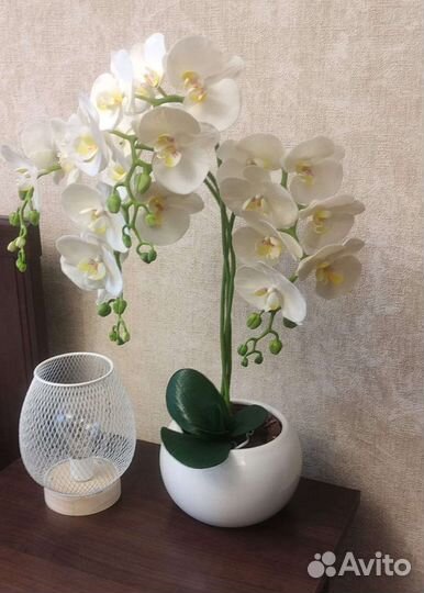 Орхидея- холодный фарфор