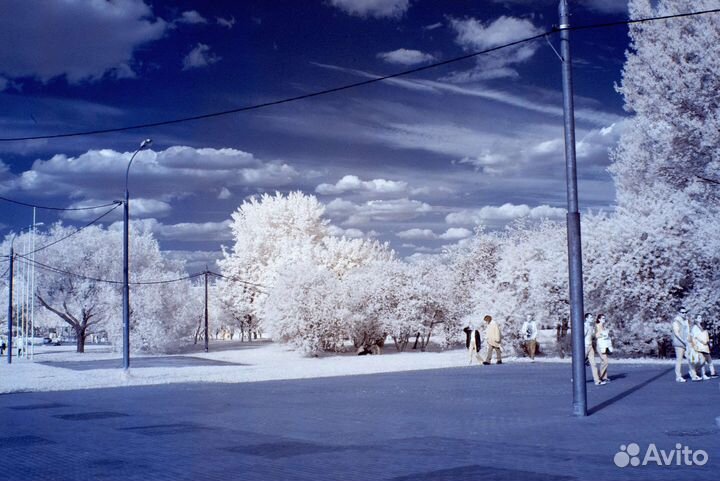 Canon 1D mark III инфракрасный (ик+уф) диапазон