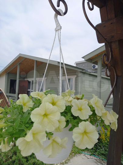 Дом 40 м² на участке 10 сот.