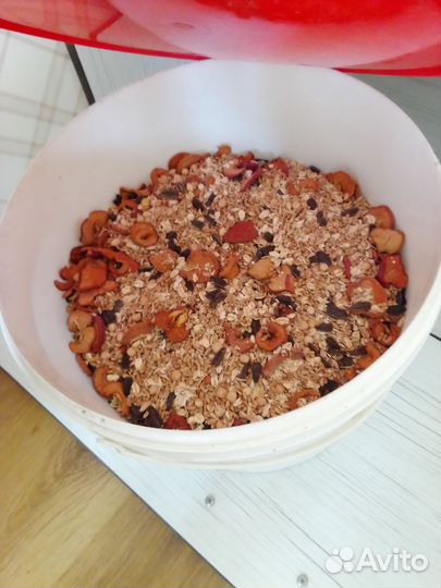 Витрина для шиншилл