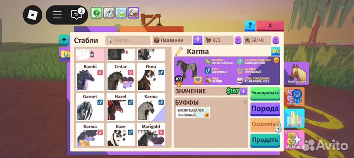 Лошадки в плейсе роблокса 