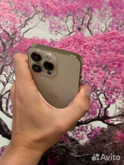 iPhone 13 Pro, 256 ГБ