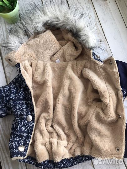 Костюм для собаки