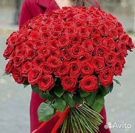 Букет роз 101 роза 51 роза