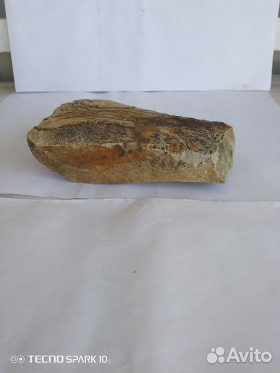 Камень древность