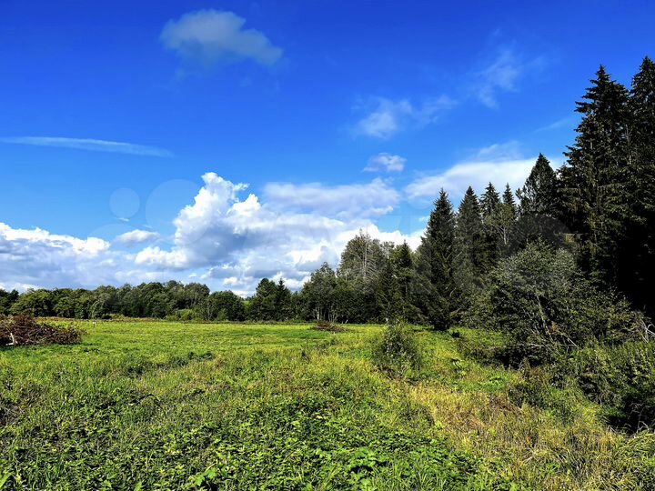 Участок 6 сот. (ИЖС)