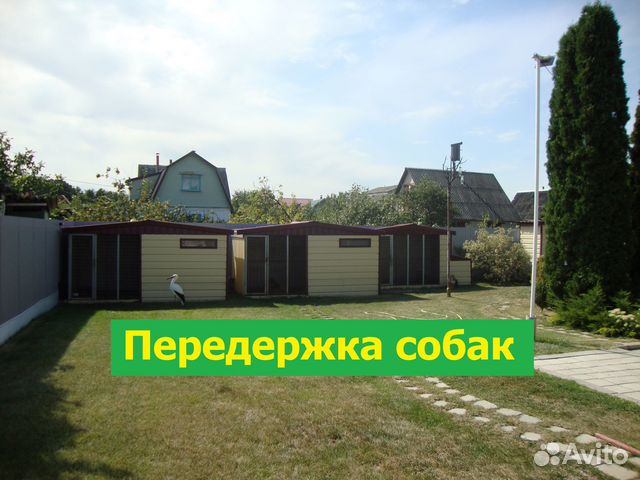 Передержка собак (гостиница для собак)