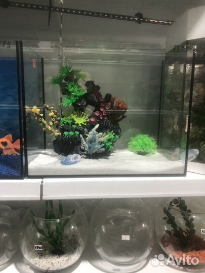 Готовые аквариумы любого размера