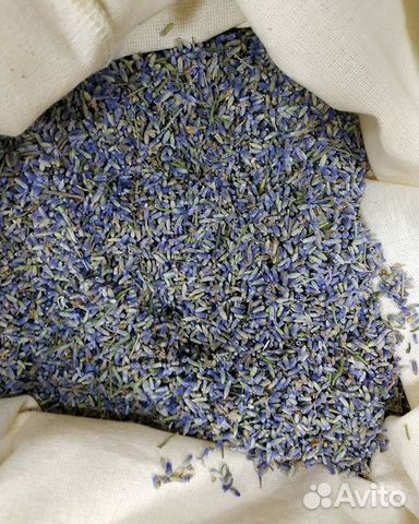 Лаванда сухоцвет