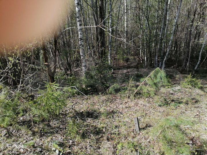 Участок 15 сот. (СНТ, ДНП)