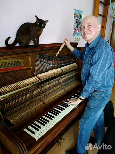 Настройка фортепиано(пианино и роялей)