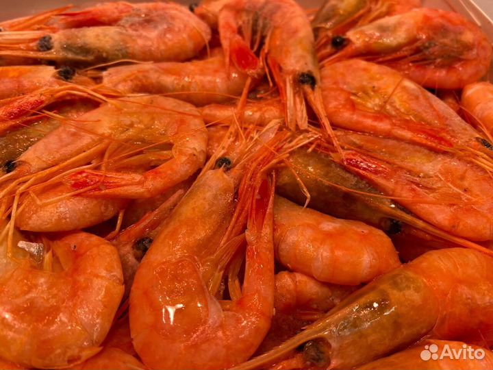 Креветка северная. Доставка. В любой город