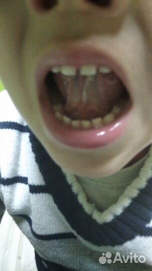 Логопед-дефектолог,подготовка к школе