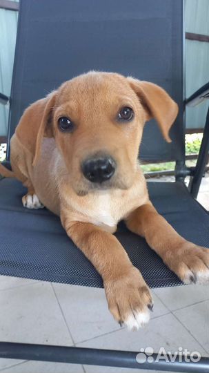 Сладкие складочки