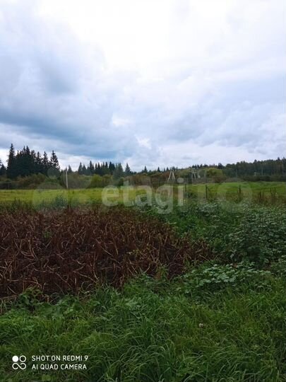 Участок 17,8 сот. (личное подсобное хозяйство (лпх))