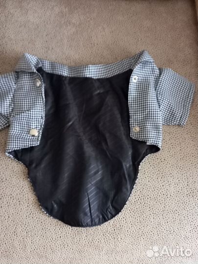 Одежда для маленьких собачек